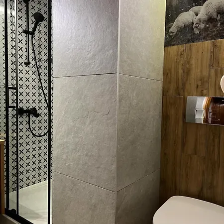 ゲストハウス Karolina Centrum ザコパネ