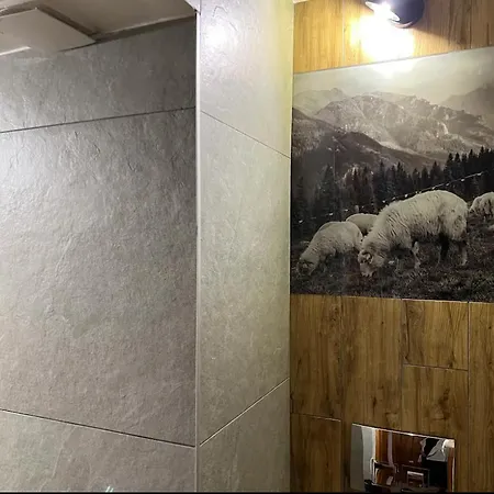 Karolina Centrum ザコパネ