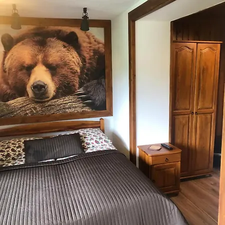 ゲストハウス Karolina Centrum 3*