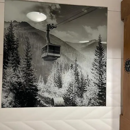 Karolina Centrum ゲストハウス ザコパネ