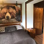 Guest house Karolina Centrum 3*