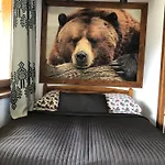 Guest house Karolina Centrum 3*