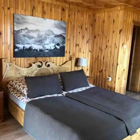 بيت ضيافة Karolina Centrum زاكوباني