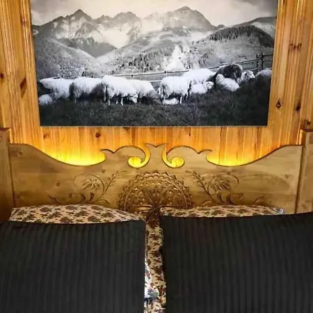 Karolina Centrum بيت ضيافة زاكوباني