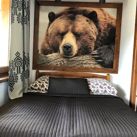 Guest house Karolina Centrum 3*