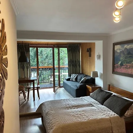 Karolina Centrum Guest house Zakopane
