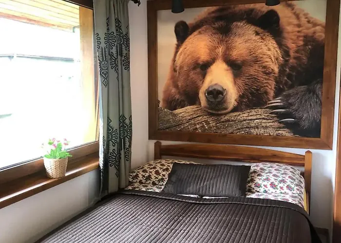 Karolina Centrum Pensjonat 3*