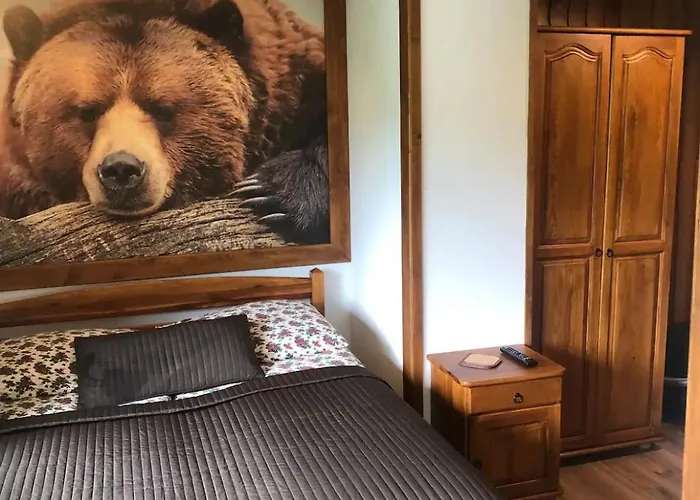 Pensjonat Karolina Centrum 3*